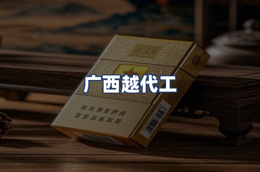 广西越代工